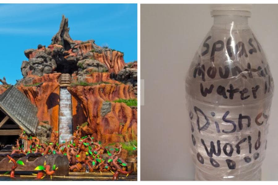 Fanáticos ofrecen miles de dólares para comprar agua auténtica de Splash Mountain en Disneyland 