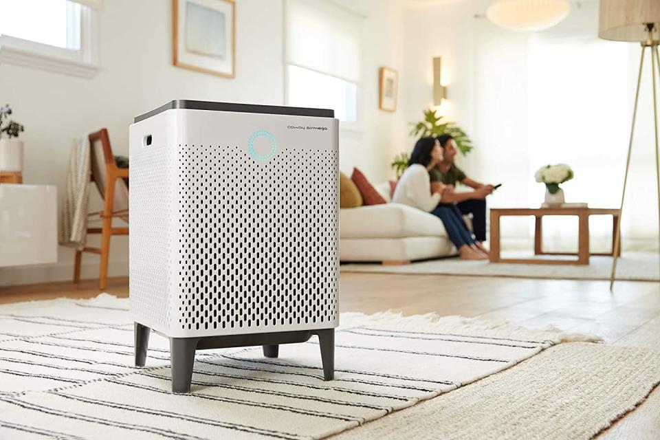 Best Smart Air Purifiers