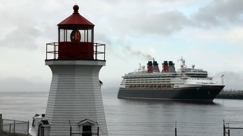 Saint John witnesses sea of cruise ship visitors this summer