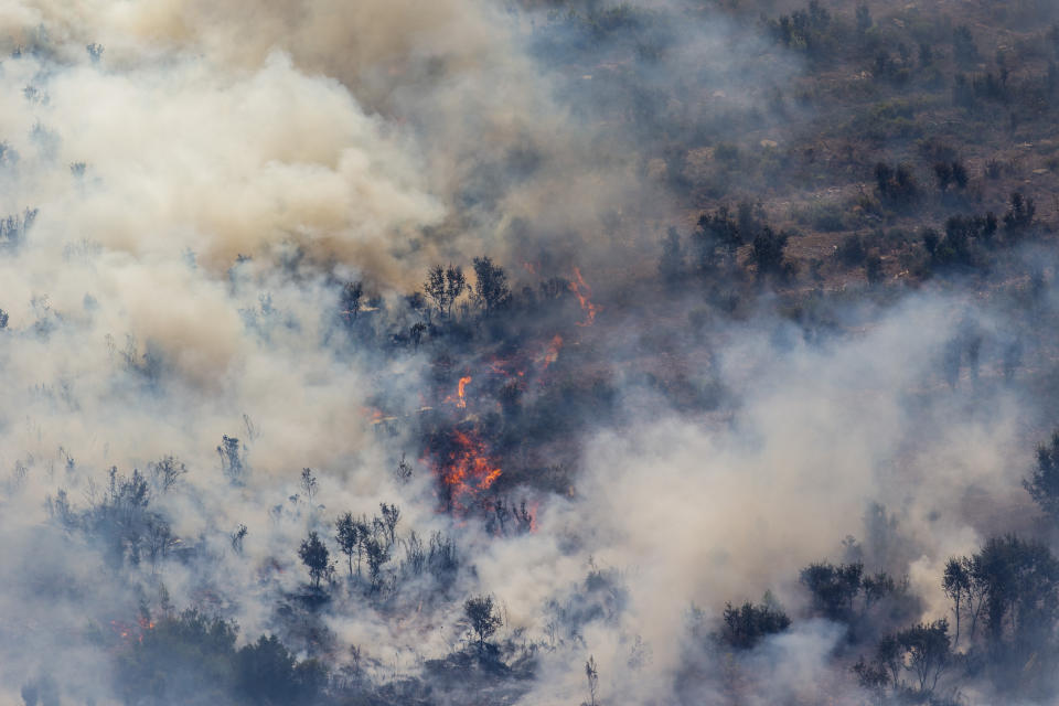 A forest burns during a wildfire near Alcublas, eastern Spain, on Thursday, Aug. 18, 2022. The European Forest Fire Information System says 275,000 hectares (679,000 acres) have burned in wildfires so far this year in Spain. That's more than four times the country's annual average of 67,000 hectares (165,000 acres) since 2006, when records began. (AP Photo/Alberto Saiz)