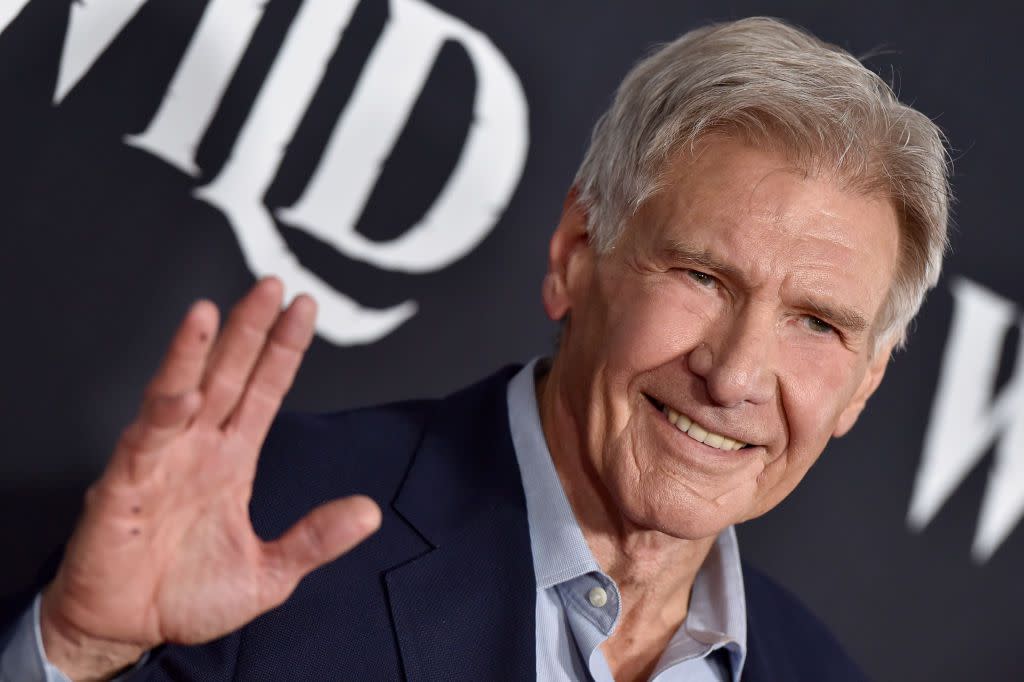 Harrison Ford attends the Premiere of 20th Century Studios' "The Call of the Wild" at El Capitan Theatre on February 13, 2020 in Los Angeles, California.