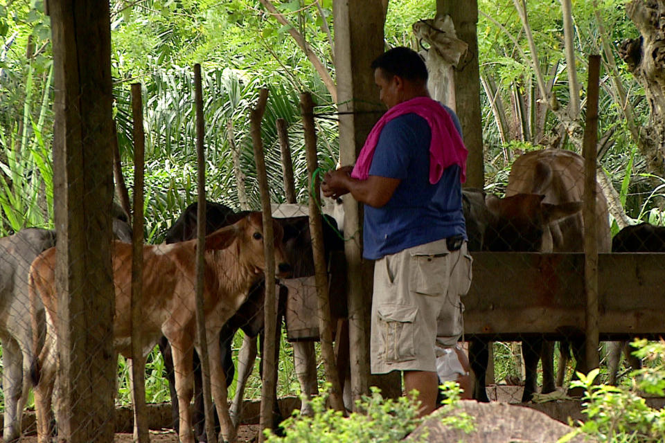 Cesar, 50, has been working in a stable for 5 years, the only job he has been able to get and where he earns $ 5 a day. (Noticias Telemundo Investiga)