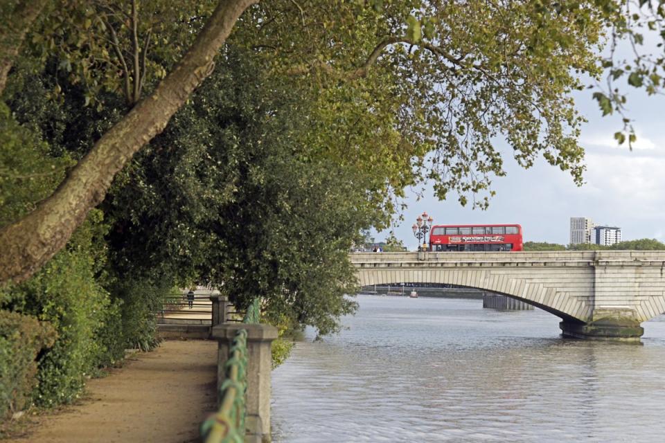 Bishops Park is Nestled right next to the Thames (Daniel Lynch)