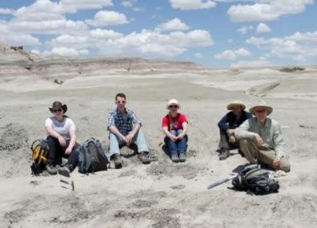 The fieldwork team (L to R): Sarah Shelley, Eric Davidson, Carissa Raymond, Steve Brusatte, Ross Secord, are pictured in this undated handout photo, taken in New Mexico and provided by Tom Williamson. Scientists on October 5, 2015, REUTERS/Tom Williamson/Handout via Reuters