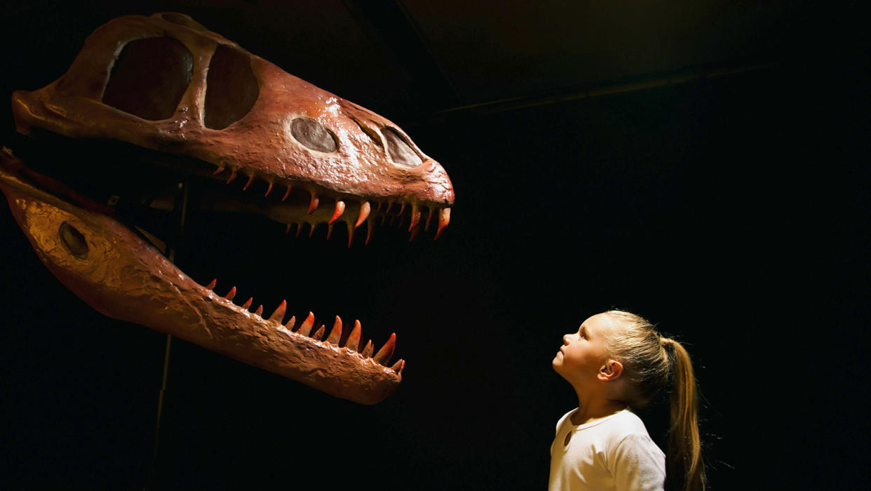 Young girl facing a dinosaur skull with a black background