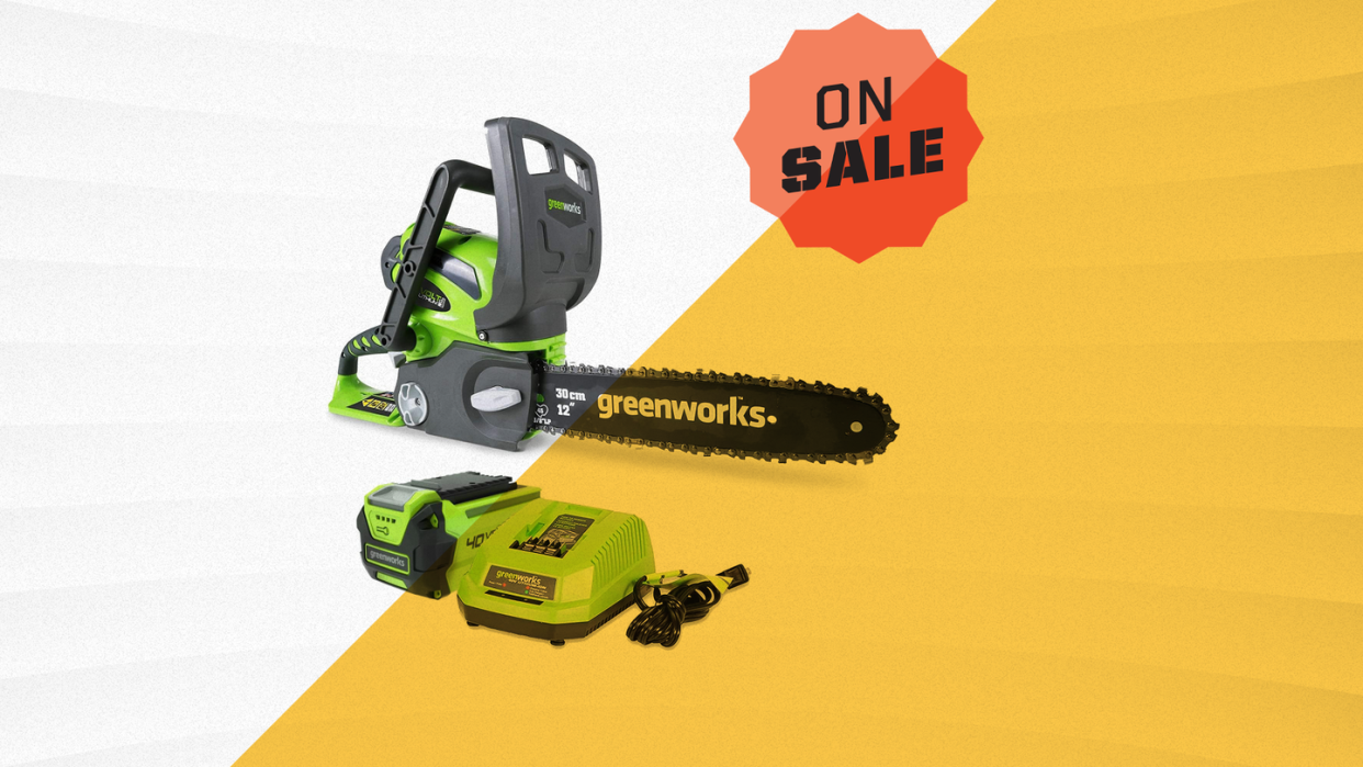 greenworks 40v 12 inch mini chainsaw