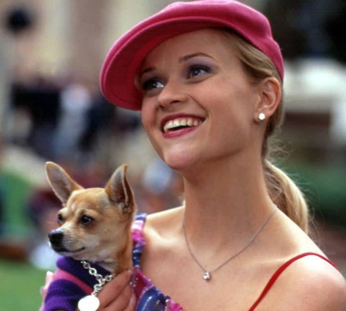 Reese holding her characters Chihuahua and rocking a newsboy cap