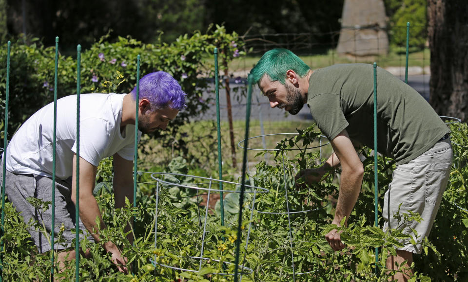 In this Monday, March 30, 2020, photo Luke Blaine, left, and partner Kyle Schomer, right, tend to their garden at their home in Phoenix. Blaine, 30, a bartender at Fez, a popular restaurant in downtown Phoenix, was laid off with the rest of the staff when the business shut completely to follow Arizona’s state precautions amid the pandemic. Schomer, who’s also 30, works from home in technology, and shares the rent in a stylish neighborhood of small adobe-style homes. (AP Photo/Ross D. Franklin)
