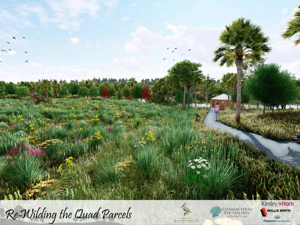 This rendering shows a walkway near native plants and wildflowers meant to attract birds and pollinators in the southeast section of the Quad Parcels, a 33-acre tract of land that is being converted from grassland to native habitat, as a way to protect the Celery Fields.