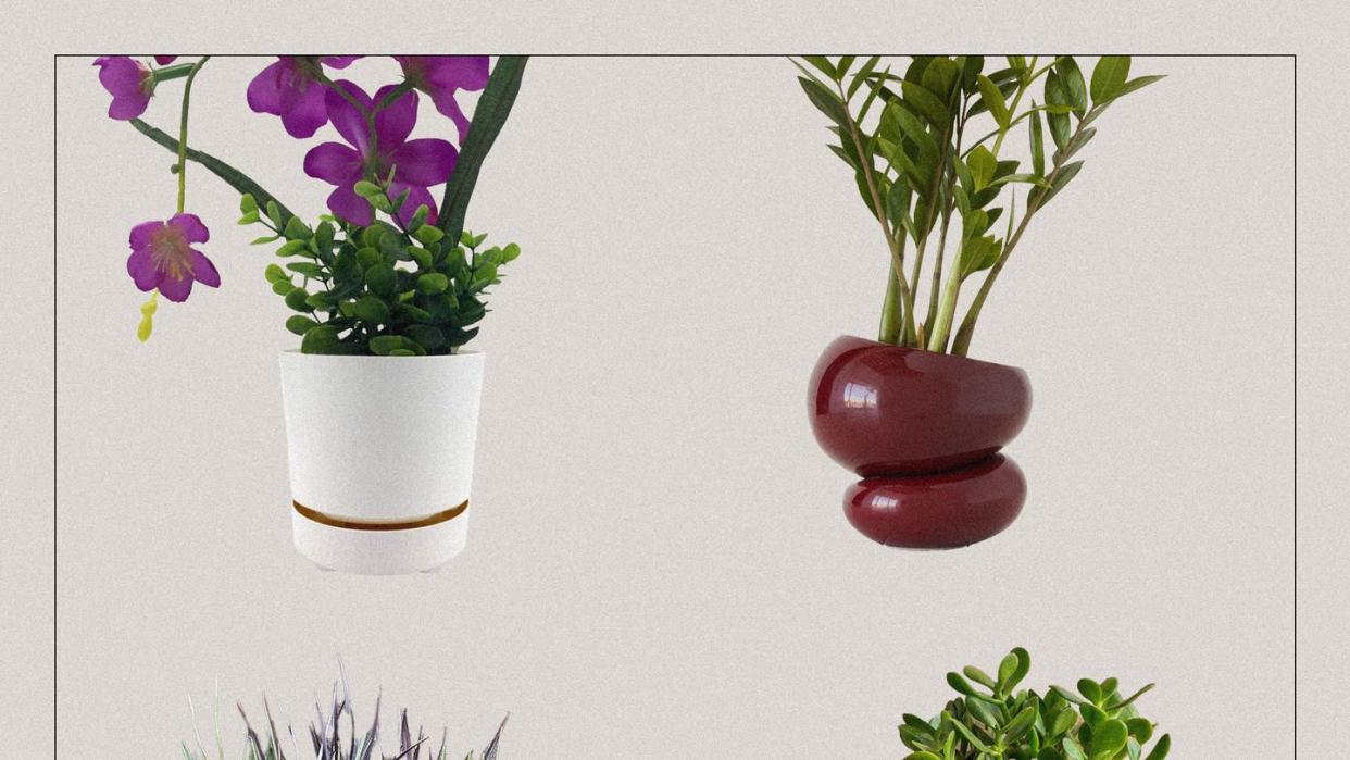 self watering planters