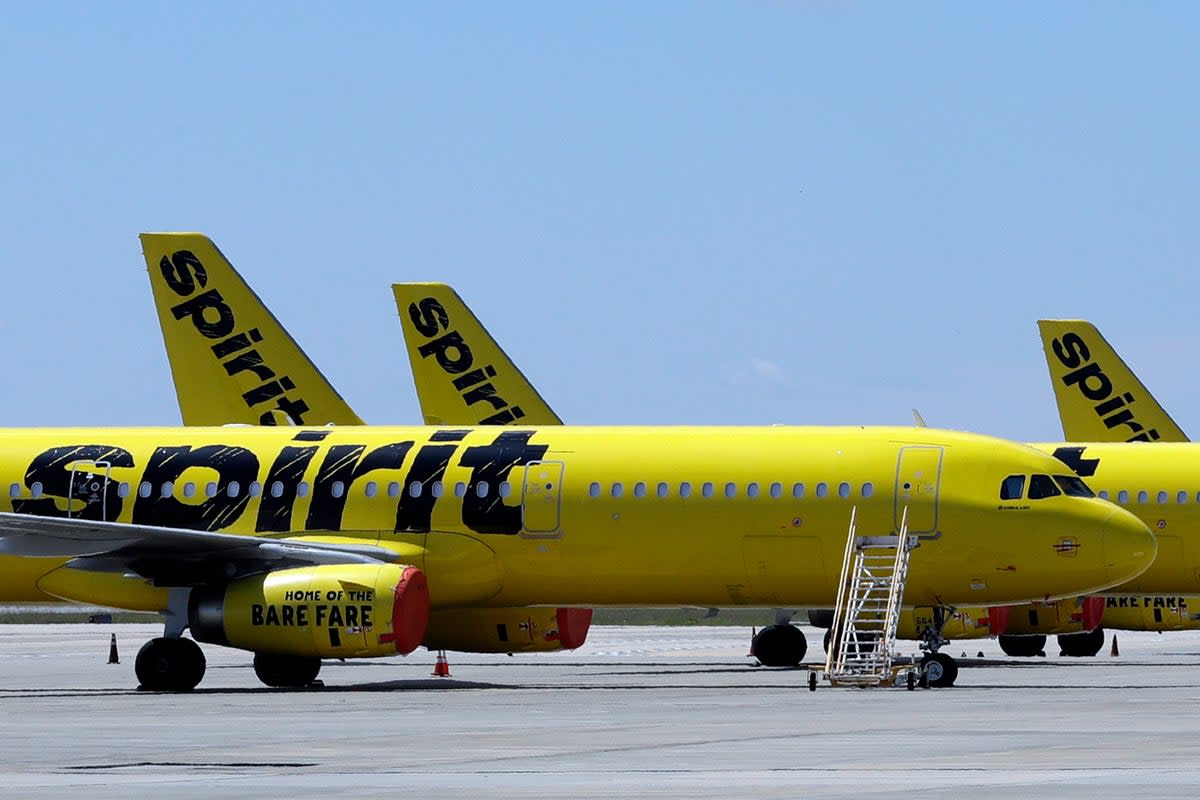 Marcu said his experience of being questioned for human trafficking on a Spirit Airlines  flight was ‘horrible’ (Associated Press)