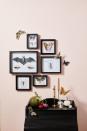 <p>Replace a collection of family photos with a creepy crawly gallery wall. Print out bugs and bats clip art onto card stock, then cut them out with scissors or a craft knife and display in shadow box frames.</p>