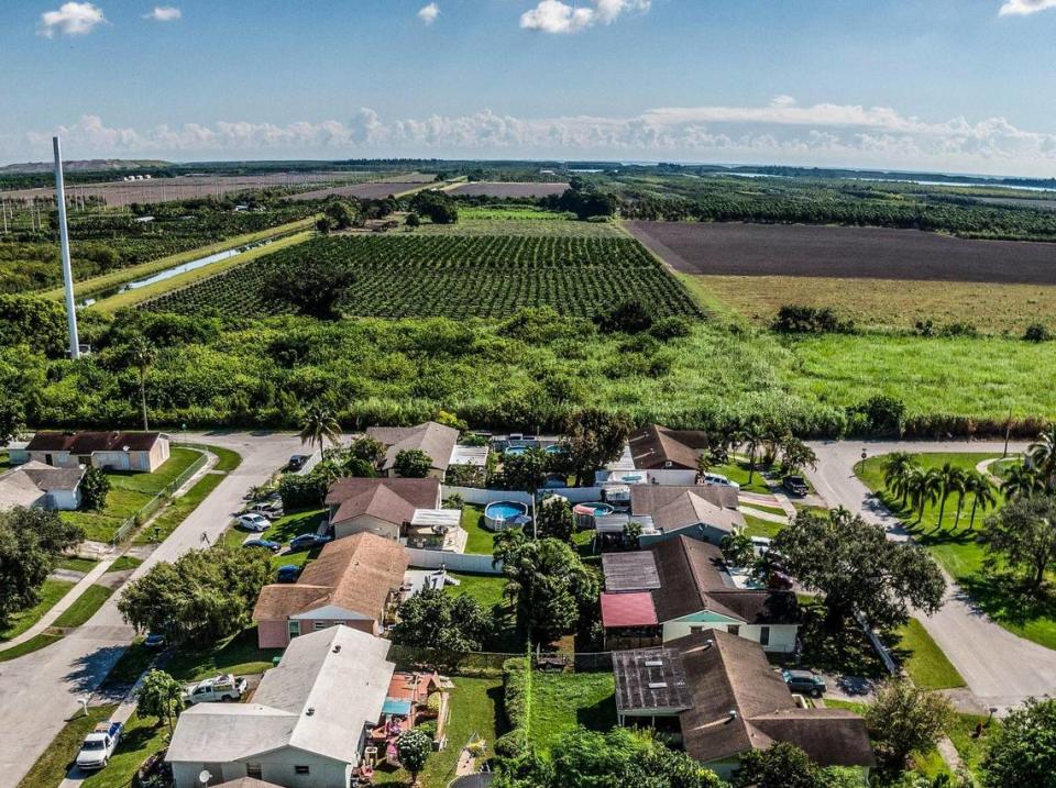 View of a neighborhood next to a field located at 26100 SW 112th Ave, Homestead, that is included in a plan to expand the Urban Development Boundary by converting farmland into a 9 million-square-foot industrial park near Homestead. The photo was taken on Oct. 16, 2021.
