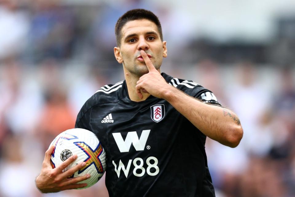 Aleksandar Mitrovic has been in superb form for Fulham this season  (Getty Images)