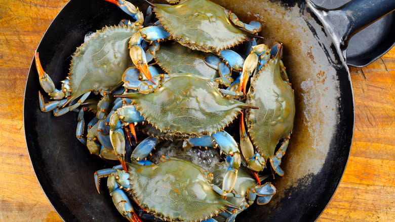 Blue crabs in a pan