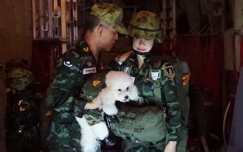 in green combat fatigues with the royal pet dog. - Credit: AFP