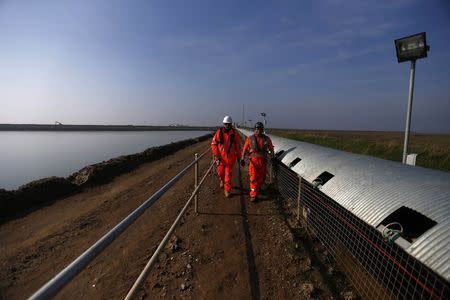 Two workers walk alongside a conveyor belt carrying earth from the Crossrail project which will be used to landscape a saltwater marsh wildlife habitat on Wallasea island, in Essex, March 13, 2014. REUTERS/Andrew Winning