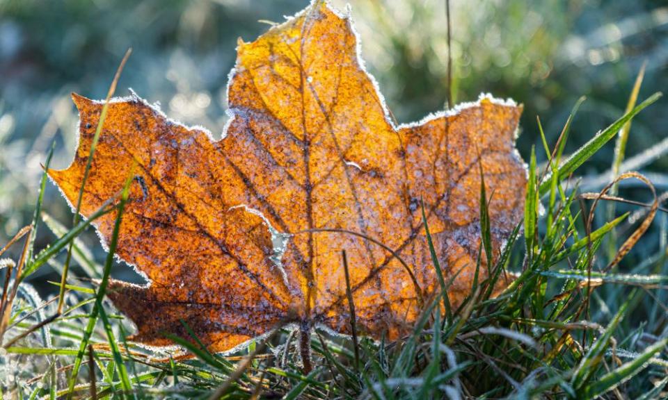 <span>Photograph: Amer Ghazzal/Rex/Shutterstock</span>