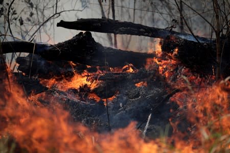 Tract of the Amazon jungle burns as it is cleared by loggers and farmers in Porto Velho