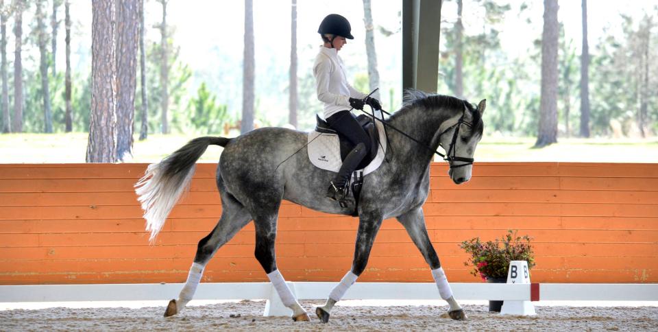 FILE - Holly Payne Caravella rides her horse, CharmKing, during a dressage training session at the Stable View equestrian training facility in Aiken on March 8, 2017. Soon it will be the site of the inaugural Aiken Trailblazer races scheduled for March 30.