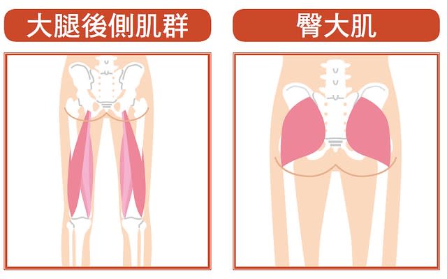 弓箭步肌肉體操：鍛鍊這裡！大腿後側肌群、臀大肌