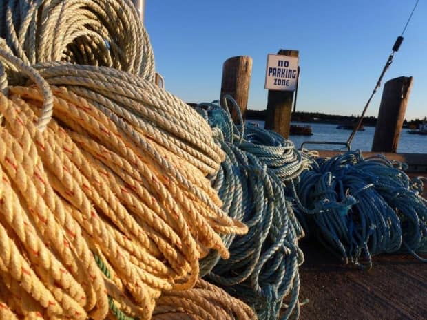 Fundy North Fishermen's Association