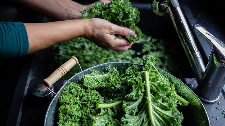 Washing kale in sink