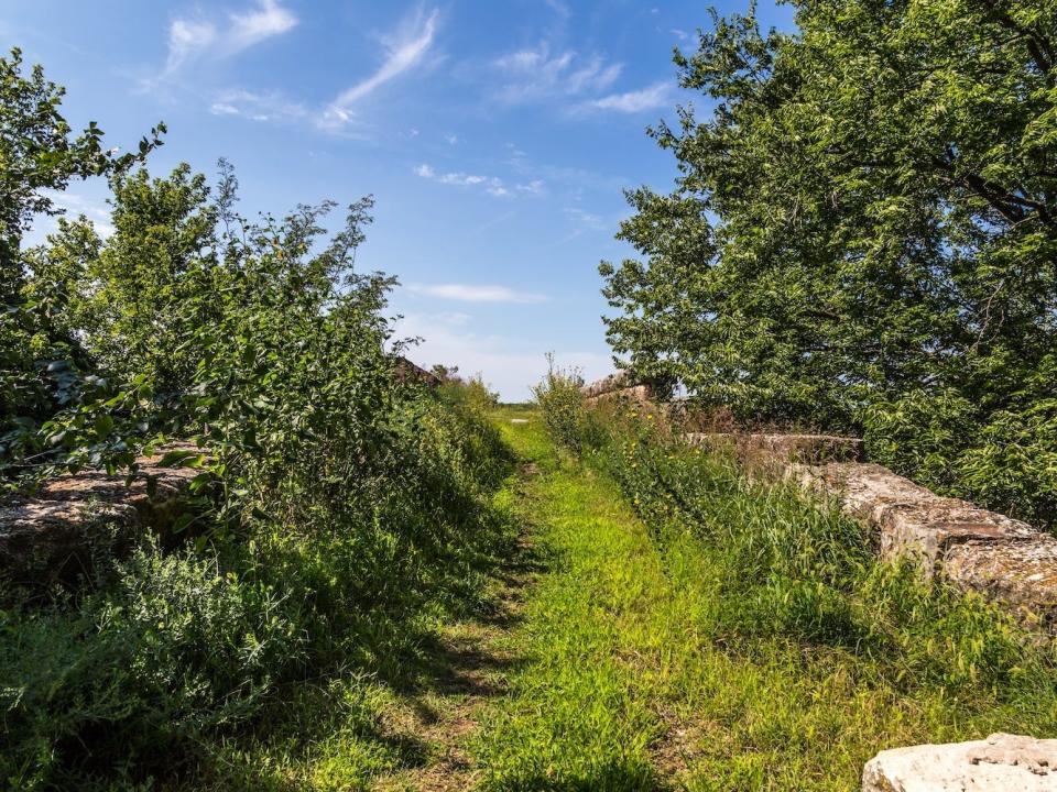 An overgrown path in Clements, Kansas.