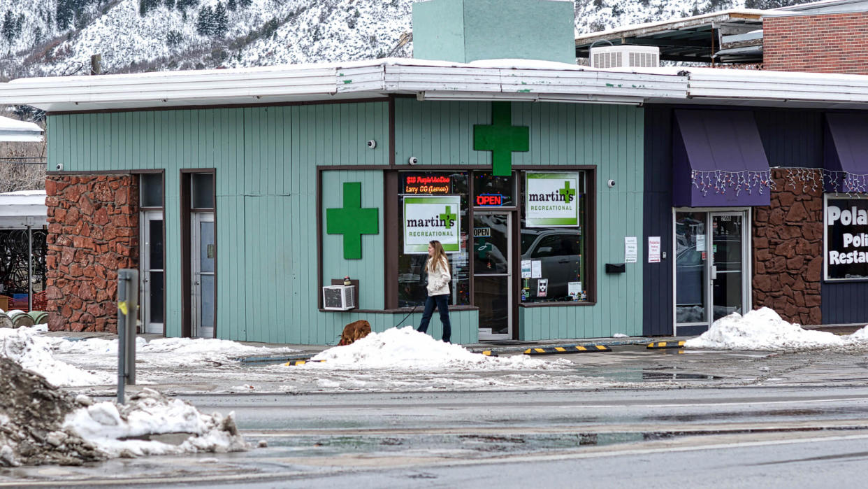 Glenwood Springs, Colorado, USA - January 6, 2016: A woman and her dog stroll past the tell-tale green crosses on a storefront in downtown Glenwood Springs that identifies it as a legal drug shop.