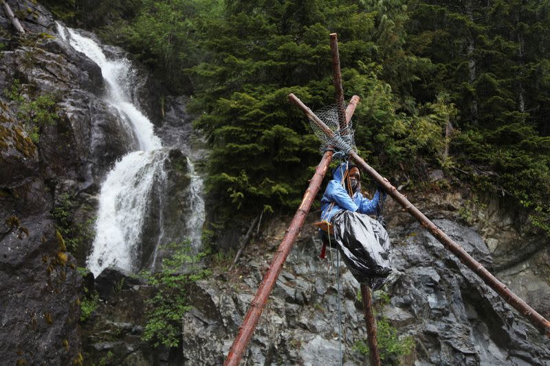 A woman sits in a tripod perch in order to hinder her arrest on a blockade at Waterfall camp