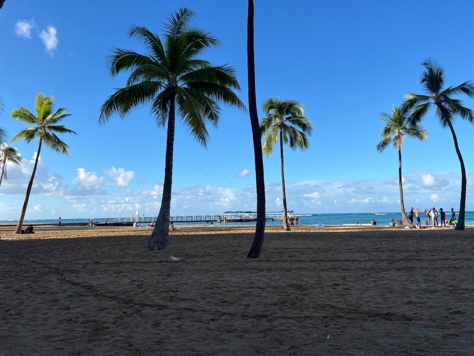 An empty beach in the shade with palm trees.