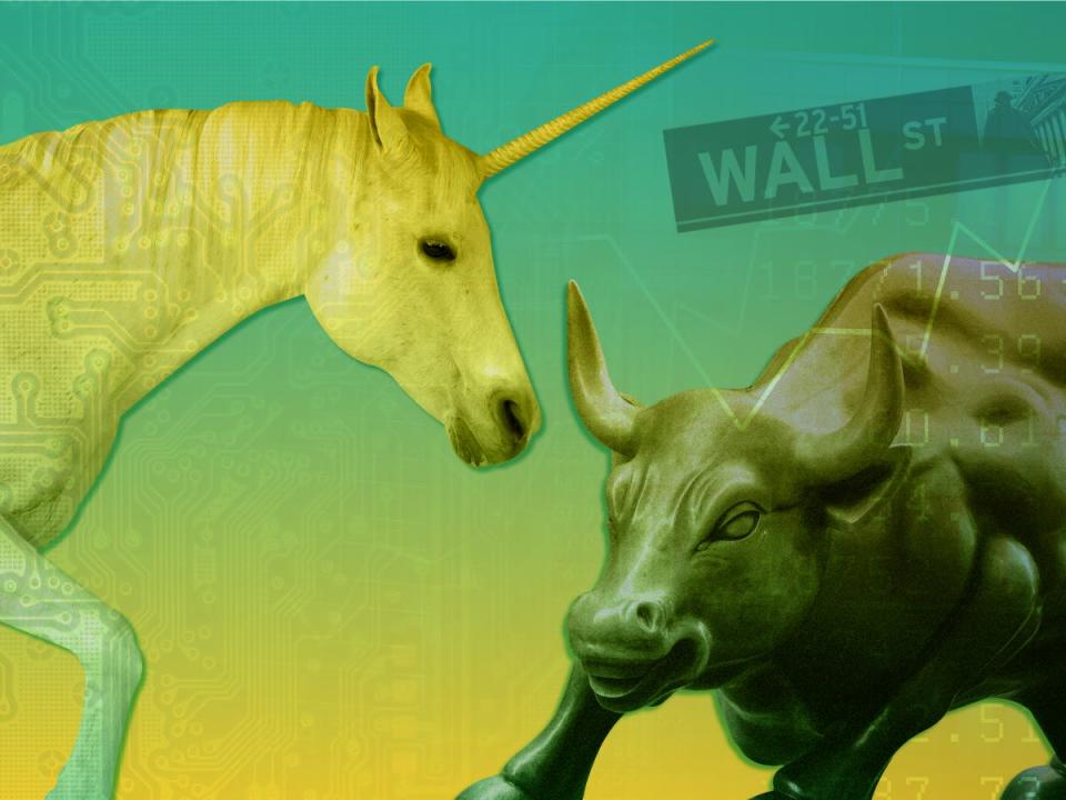 Silicon Valley unicorn facing off against Wall Street bull