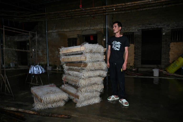 L'éleveur de vers à soie Zhu Huangyi, qui a perdu les deux tiers de sa production en raison des inondations, dans son local du village de Sancun, à Yingde, dans la province chinoise du Guangdong, le 25 avril 2024 (Hector RETAMAL)