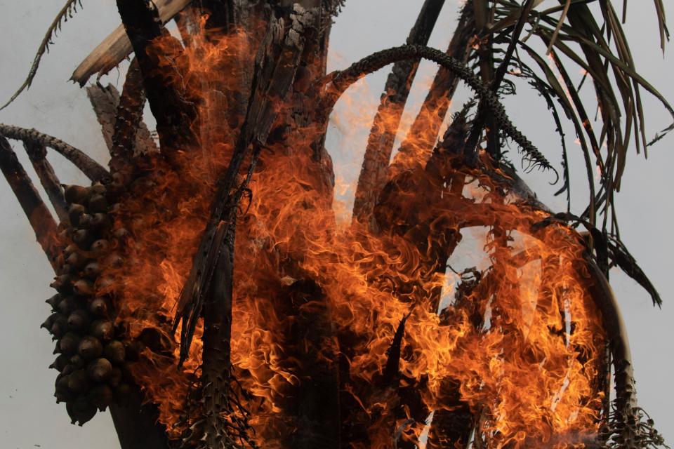 View of one of the fires, in the Amazon of Rondonia, Brazil, Aug. 24, 2019. (Photo: Joedson Alves/EFE via ZUMA Press)