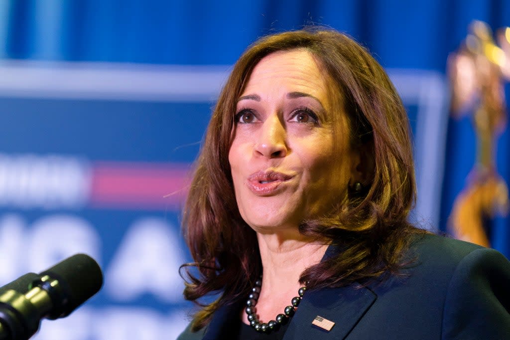 File: Vice president Kamala Harris said the administration failed to see the ‘awful’ variants coming  (AP)