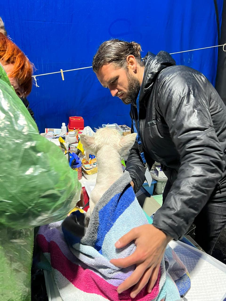 San Diego veterinarian Dr. Andrew Kushnir examines a small dog in the veterinary tent at the Ukraine border crossing at Medyka, Poland. (Courtesy of the San Diego Humane Society )