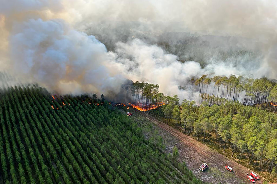 This photo provided by the fire brigade of the Gironde region (SDIS33) shows a wildfire near Landiras, southwestern France, Wednesday, July 13, 2022. A spate of wildfires is scorching parts of Europe, with firefighters battling blazes in Portugal, Spain and southern France on Wednesday amid an unusual heat wave that authorities are linking to climate change. (SDIS33 via AP)