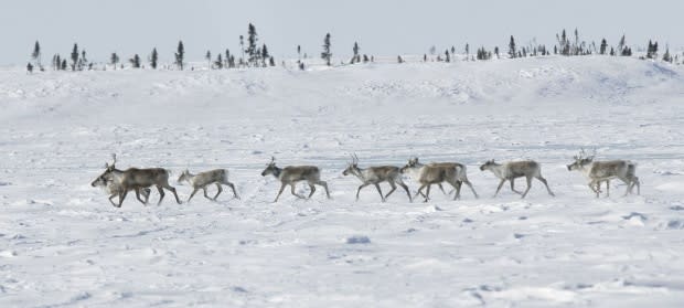 WWF-Canada