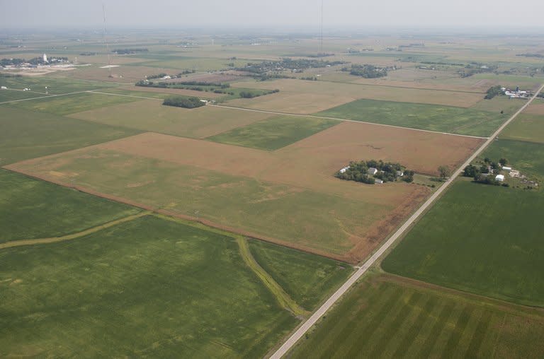 Browned farmland is seen near Ames, Iowa, August 28, 2012. A government report warned that the United States could face more frequent severe weather including heat waves and storms for decades to come as temperatures rise far beyond levels being planned for