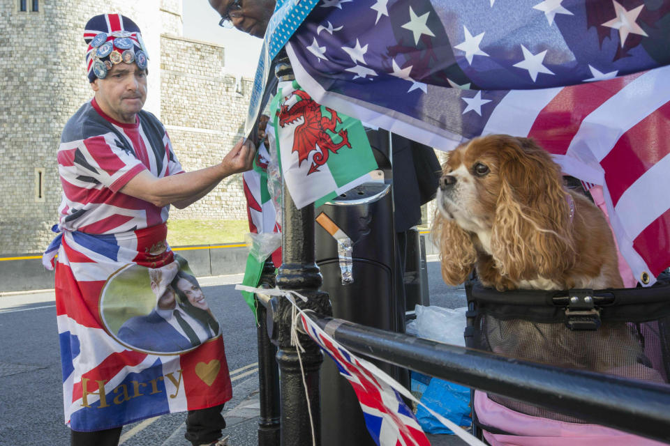 Royal superfan John Loughrey, with company from Camilla the dog, prepares flags and posters in celebration of the royal christening of Archie, the son of Britain's Prince Harry and Meghan, Duchess of Sussex, outside Windsor Castle in England, Saturday, July 6, 2019. The 2-month-old son of the Duke and Duchess of Sussex will be baptized Saturday in a private chapel at the castle by Archbishop of Canterbury Justin Welby, head of the Church of England. (Rick Findler/PA via AP)