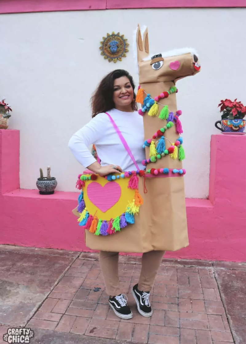 Llama Costume