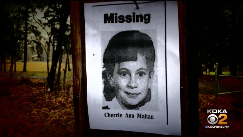 Missing person poster of Cherrie