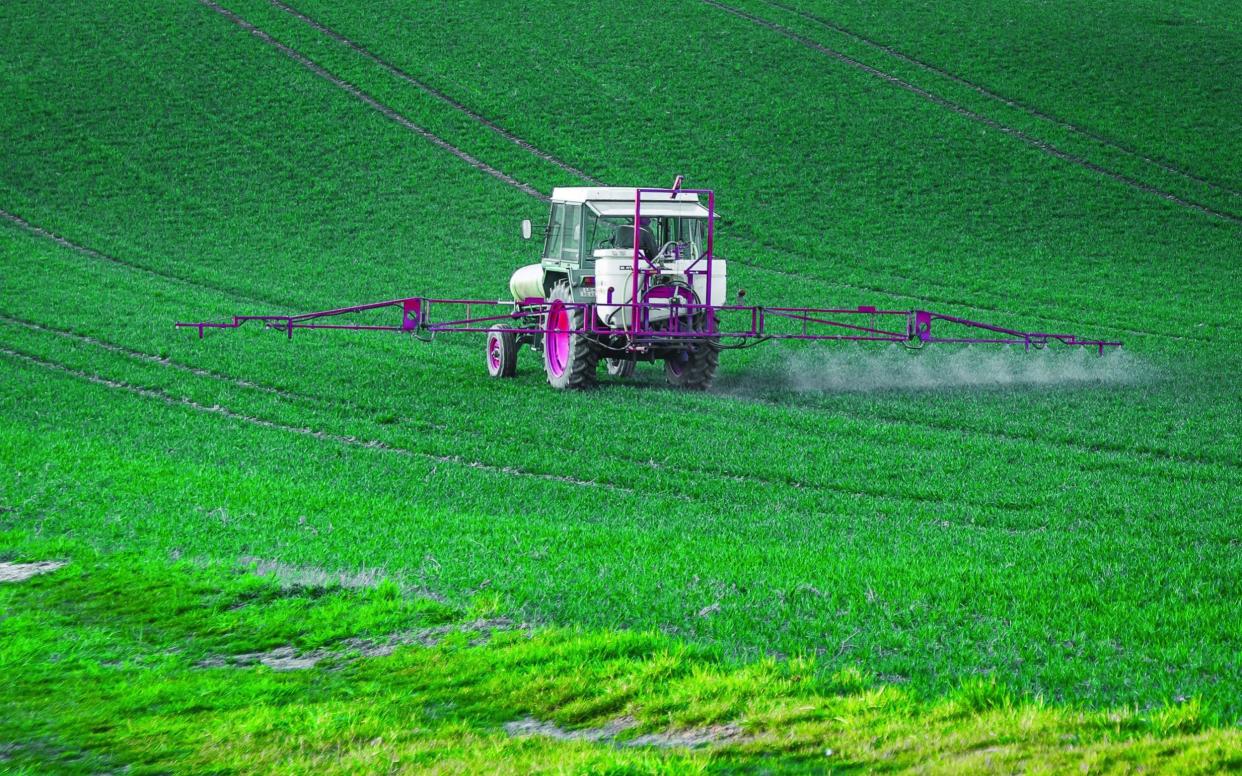 Spreading rock dust increases the soil's ability to store carbon