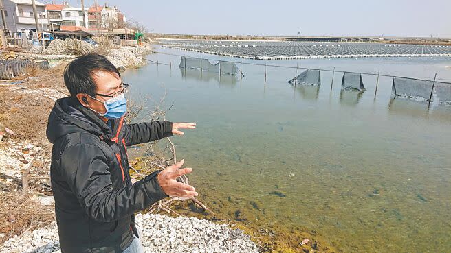 魚塭地變光電場，台南市沿海居民嘆養殖環境受侵害，今年虱目魚來到每台斤75元天價。（程炳璋攝）