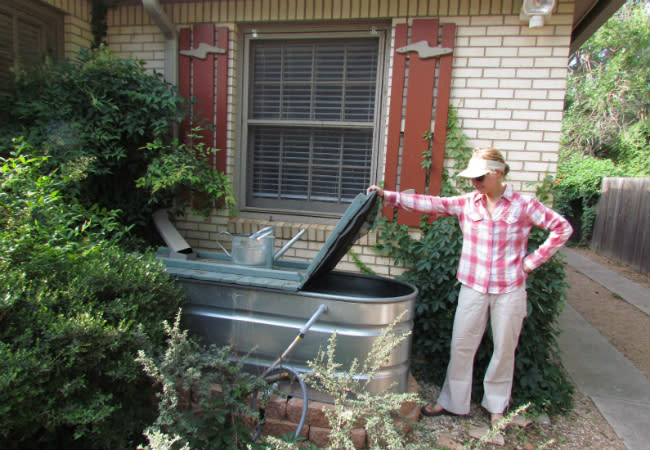 DIY Rain Barrel - Stock Tank