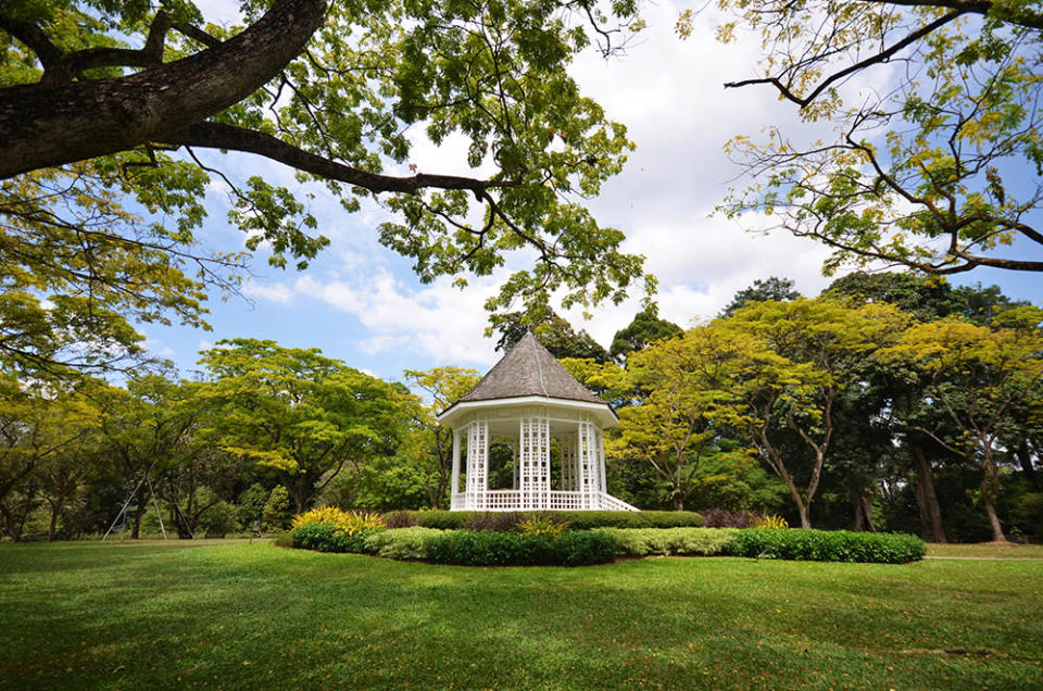 新加坡植物園（Image Source : Getty Creative/iStockphoto）