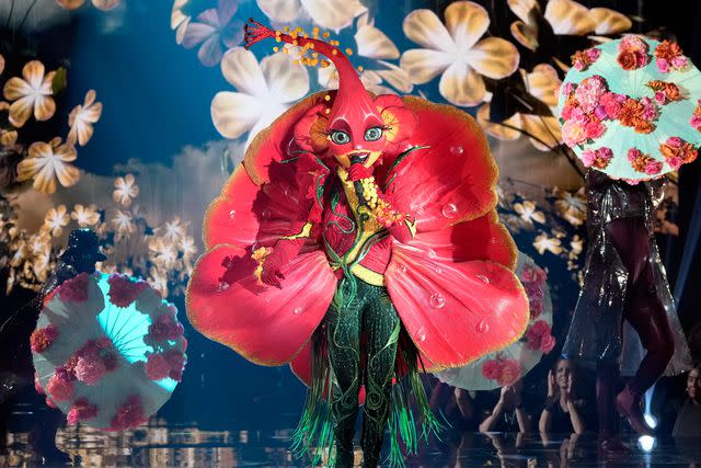 Michael Becker / FOX Hibiscus on 'The Masked Singer'