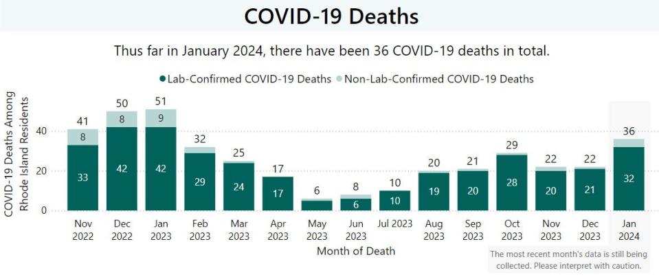 This graphic from the Rhode Island Department of Health shows the number of COVID-19 deaths each month.