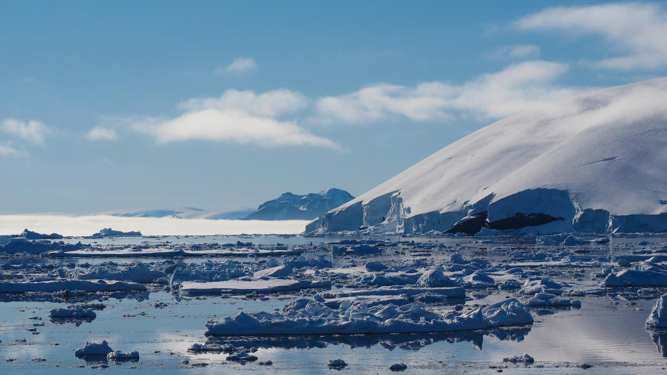 Antarctic landscape