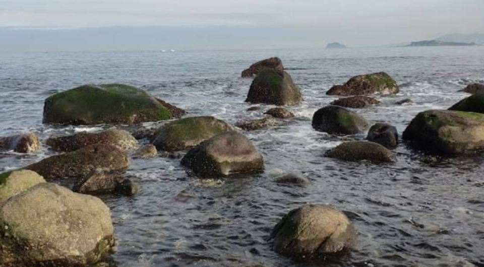 圖三：海葬時，看著海浪一波波的往岸上拍 圖片來源：作者王別玄禮儀師提供
